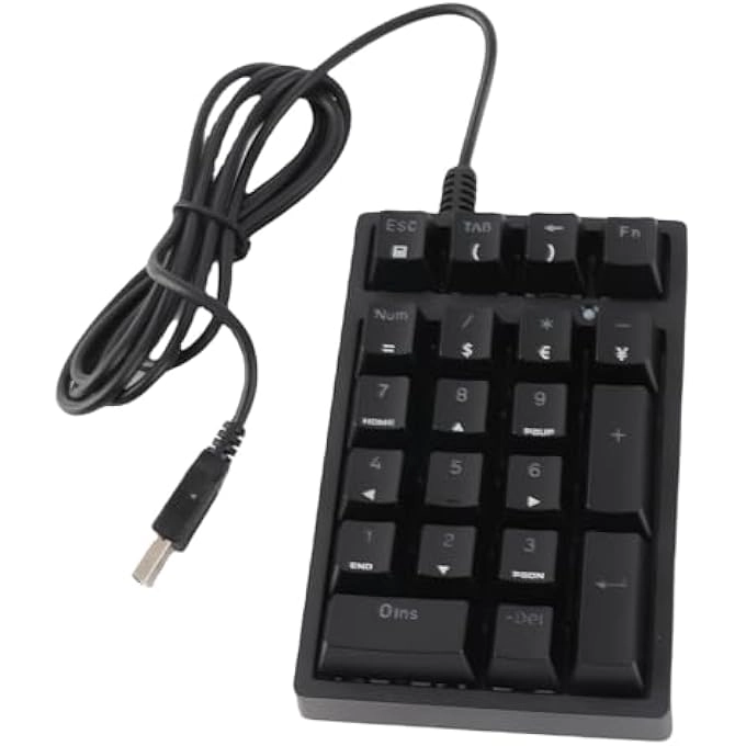 rayihni K21 - BLUE SWITCH