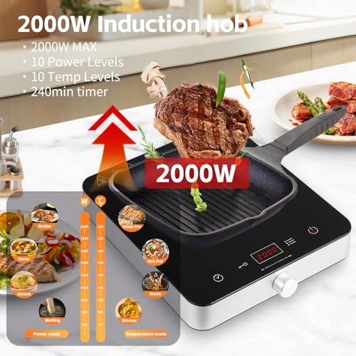 Portable Induction Hob