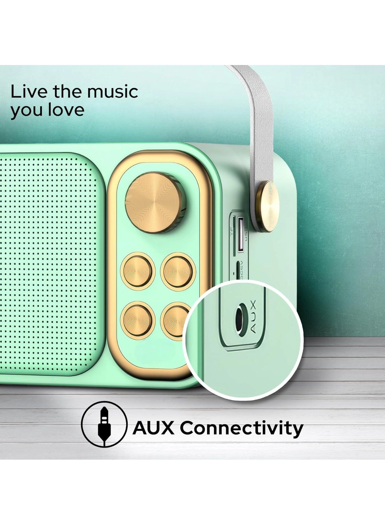 Outdoor Party Vocal Machine - 2 microphones