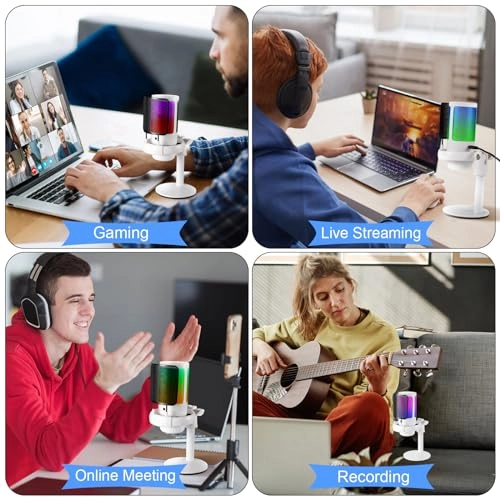 WS806 USB+3.5mm-Mini-Jack Microphone