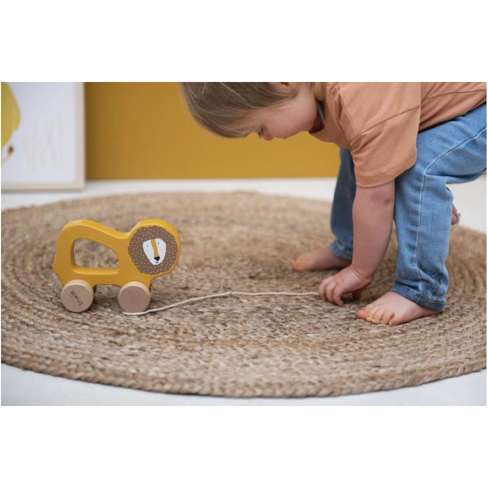 Wooden Animal Cars - Mr. Lion