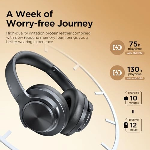FM20 Wireless Headphone