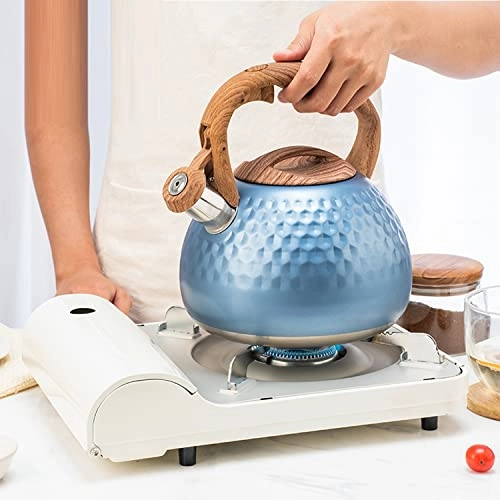 Whistling Kettle - 2.8L