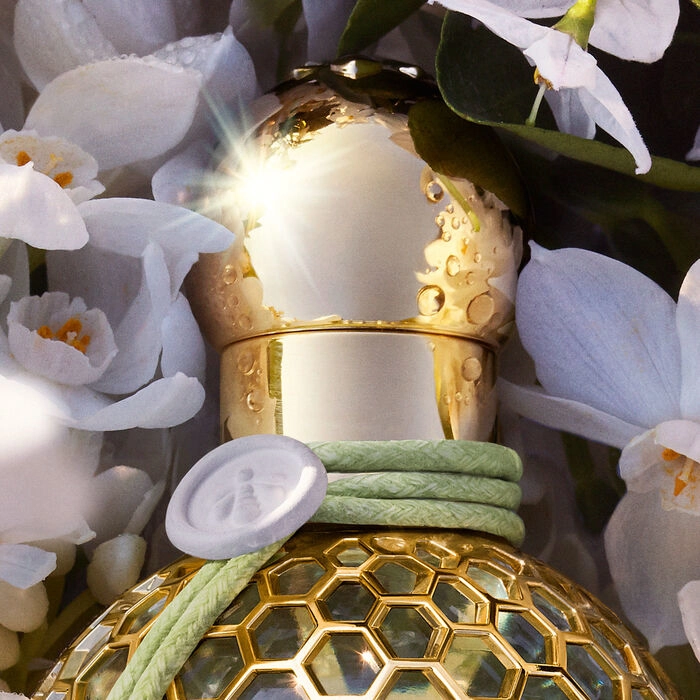 Aqua Allegoria Nerolia Vetiver Eau de Toilette 125ml