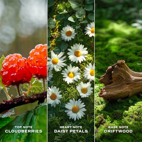 Daisy Love Eau de Toilette 0.33 fl oz