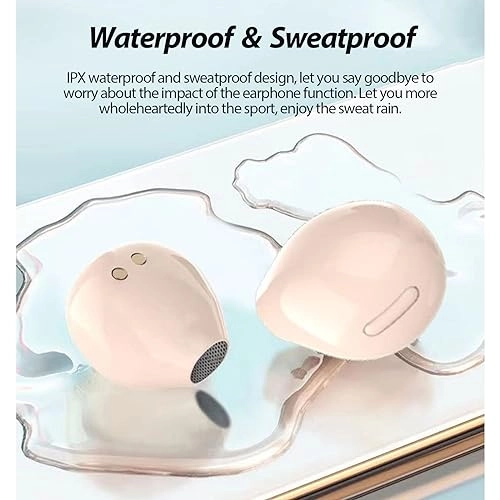 X21DS Wireless Earbud