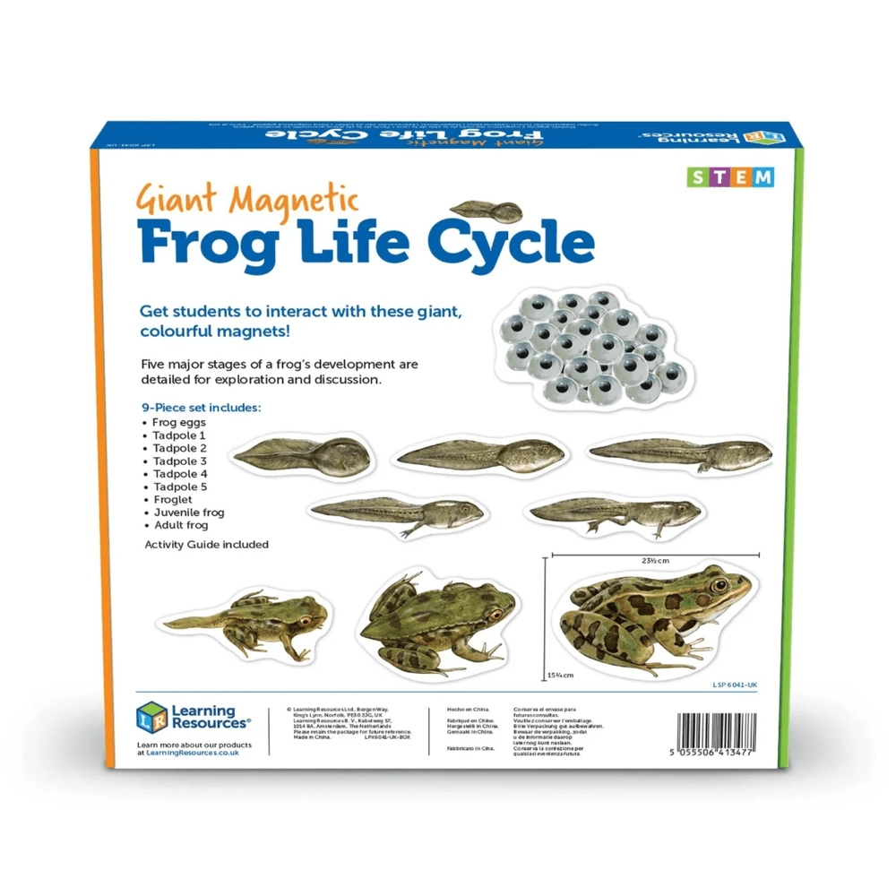Giant Magnetic Frog Life Cycle Demonstration Set Science - 5 years+ 9 pieces