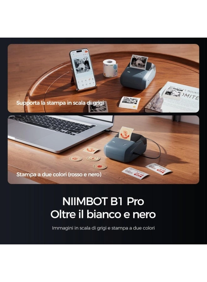 B1 Pro