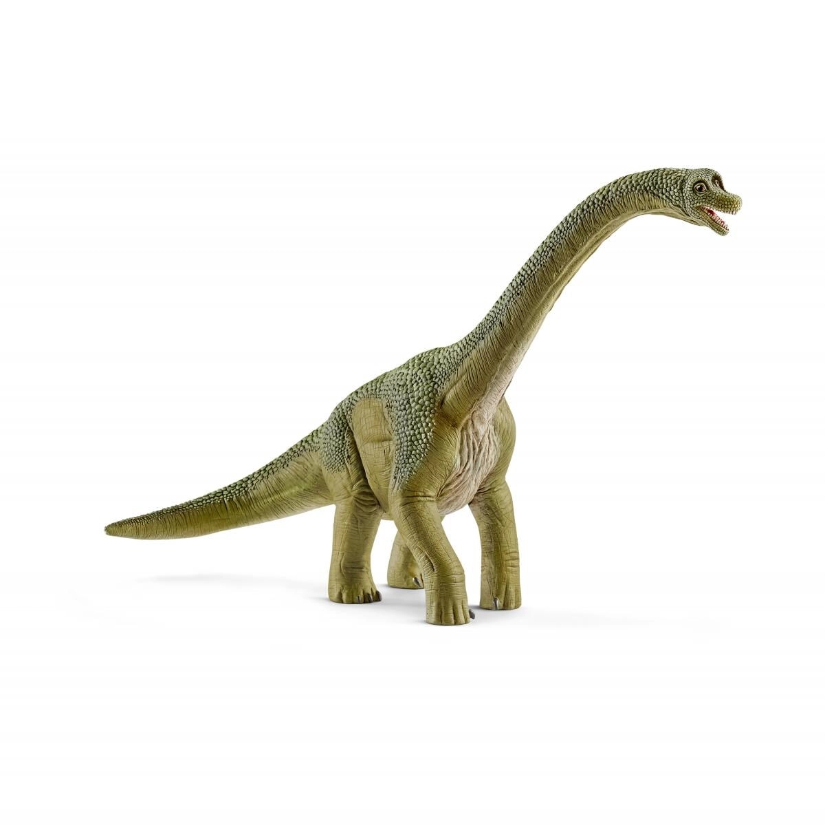 COLOR LAND CHILDRENS TOYS CENTER LLC Brachiosaurus