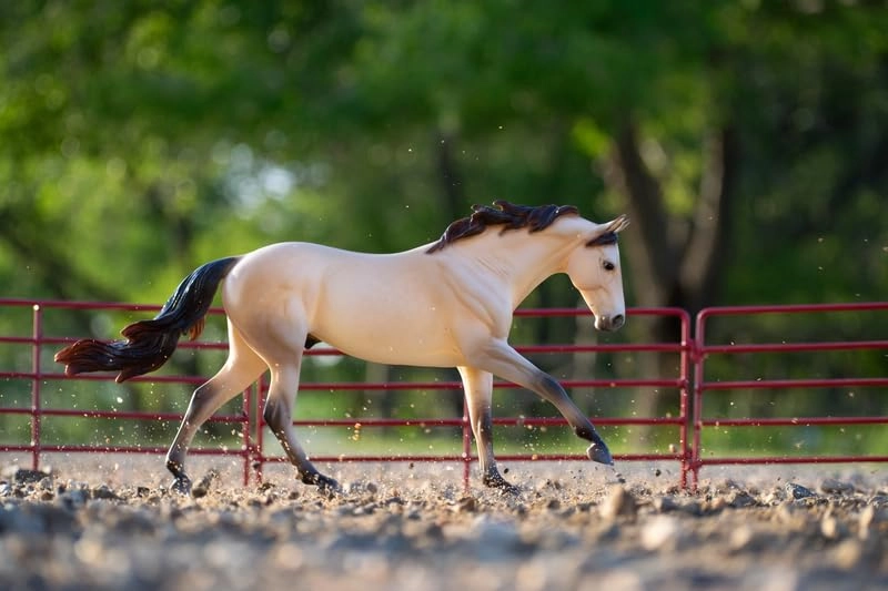 Traditional Series - Cash (B-TR-10525)