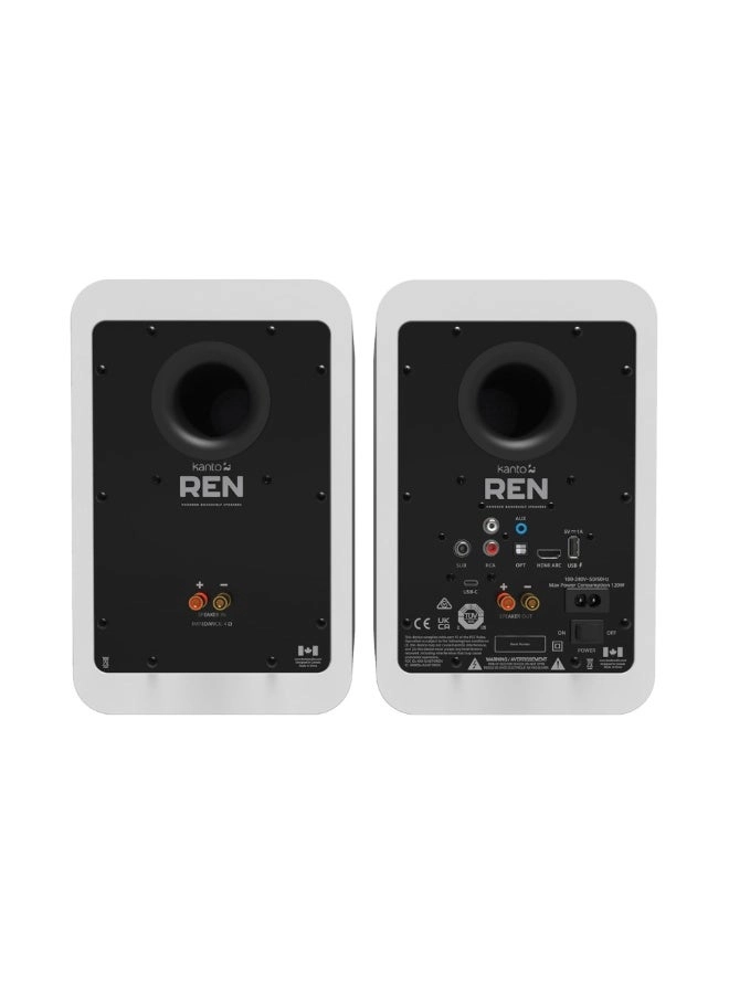 REN - 100 W Total RMS