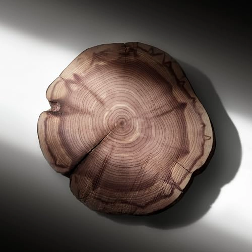 Ralph's Club Eau de Parfum 50ml