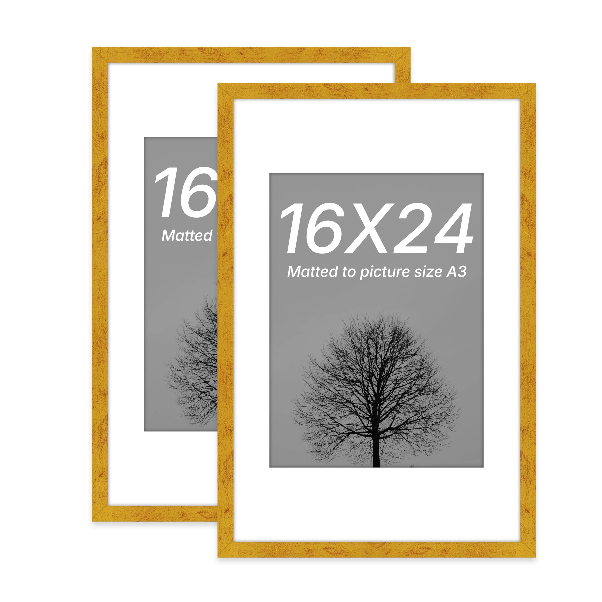 Document Frame - 16x24 Inch