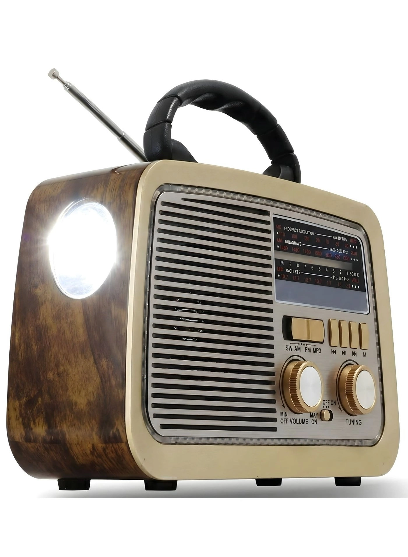 Bluetooth Radio Speaker - FM