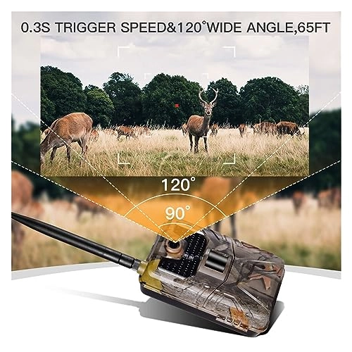 Wildlife Camera - 8MP