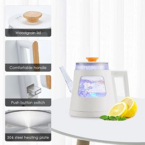 Fast Boil Illuminated Electric Kettle