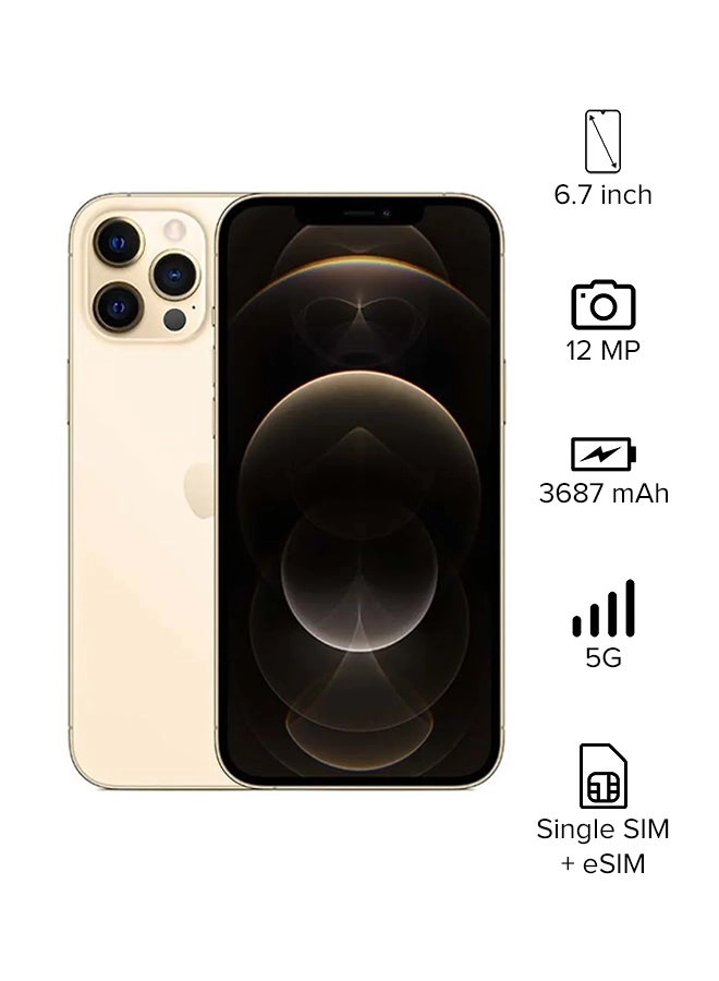 iPhone 12 Pro Max - 512GB