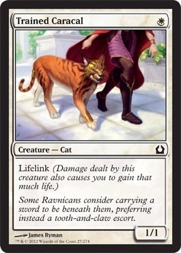 Magic: the Gathering Trained Caracal 27