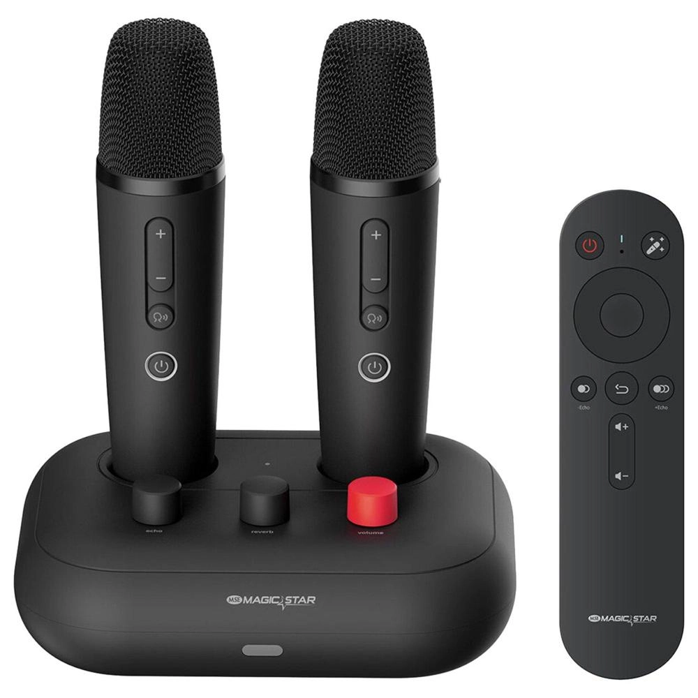 D’MAESTRO A-15 - 2 mics 1TB