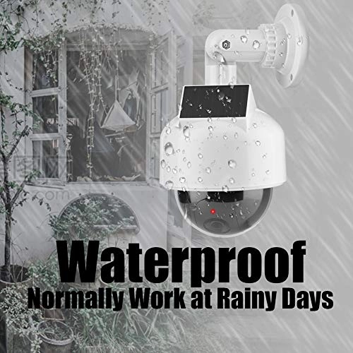 Dummy Dome Camera - Outdoor Indoor