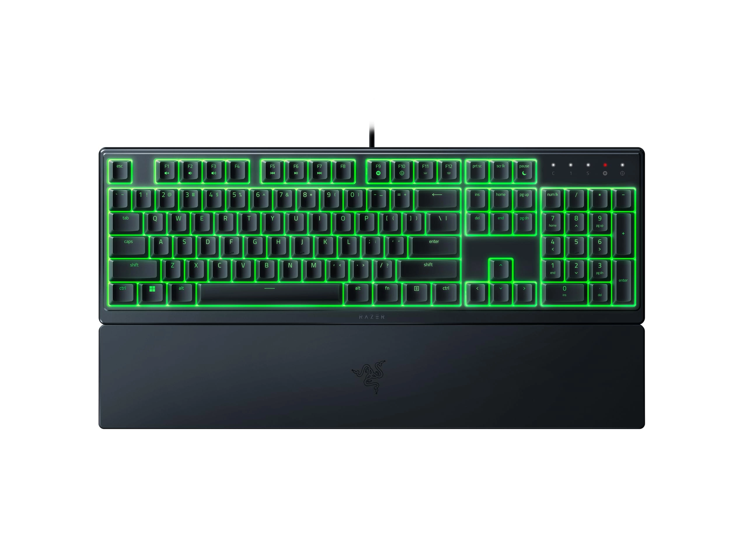 Ornata V3