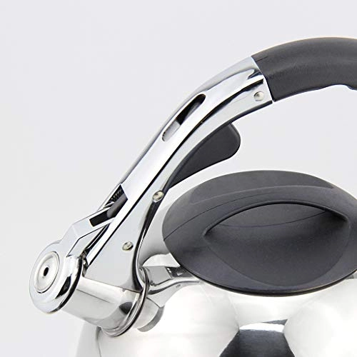 Whistling Water Kettle WJL-23-12230206