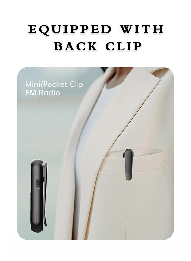 Portable Radio