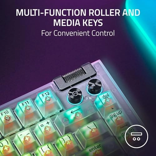 BlackWidow V4 - Wired