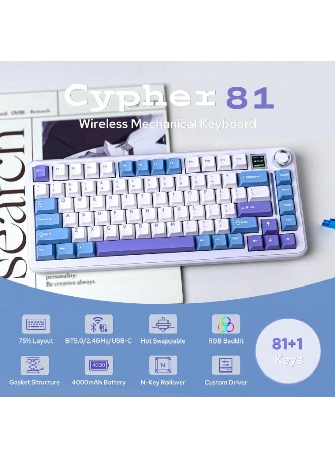 Cypher81 - Wired/Wireless