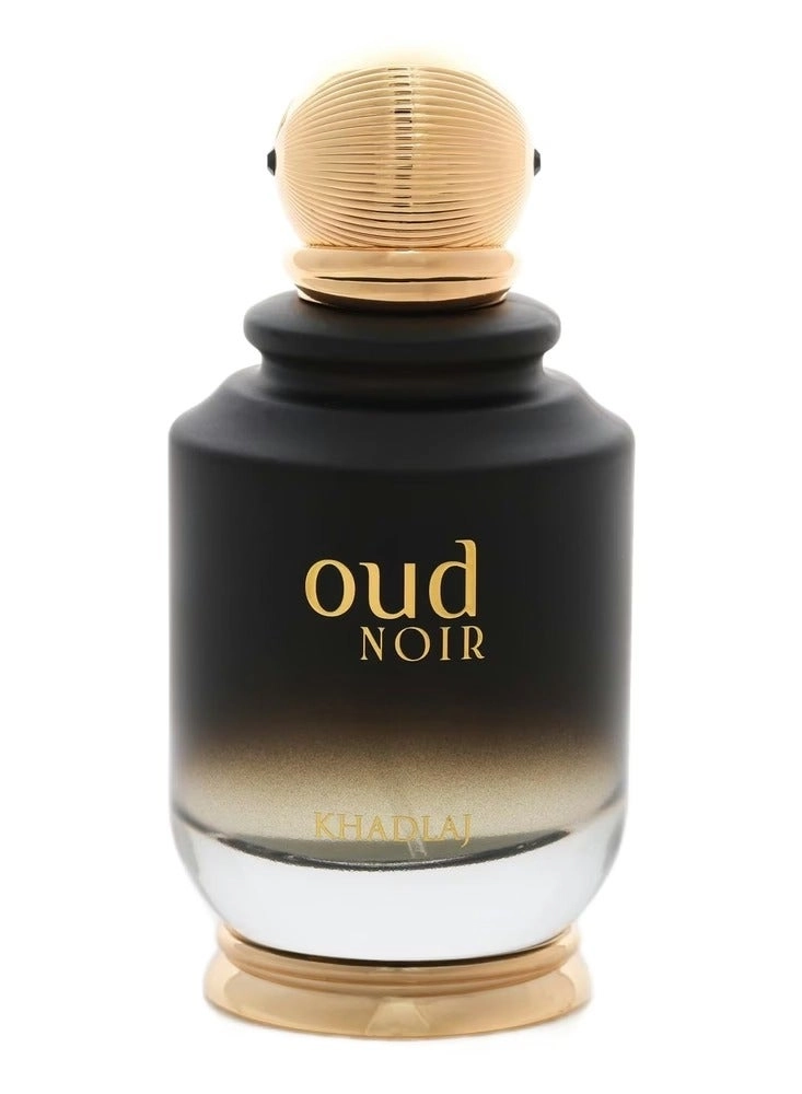 Oud Noir Eau de Parfum 100 ml