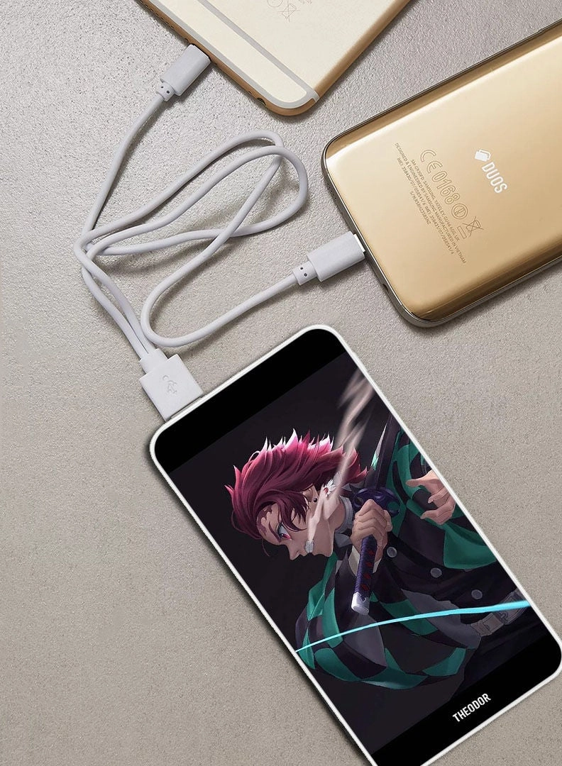 PPBA010 - 10000 mAh 18W PD Quick Charging 3.0