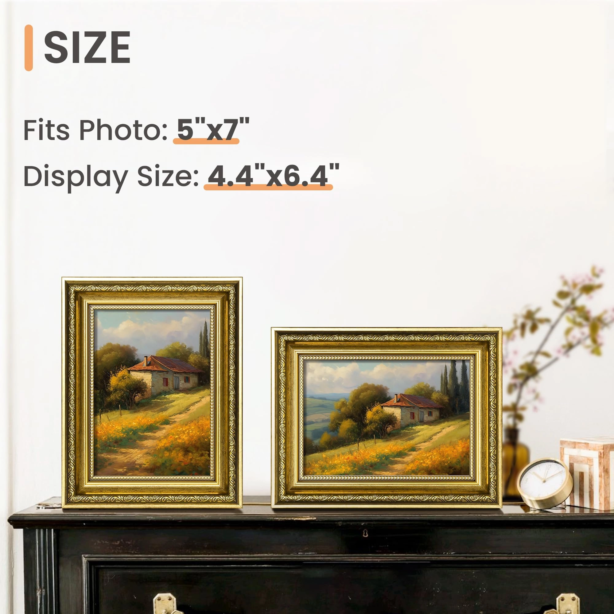 Ornate Frame - 5x7 Pack