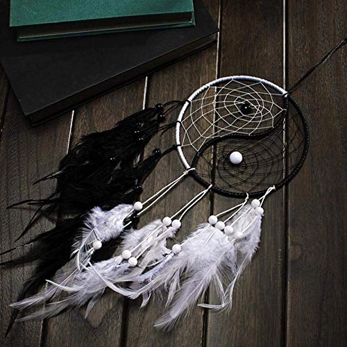 Dreamcatcher - Siderosphere, feathers, lines, wood beads.