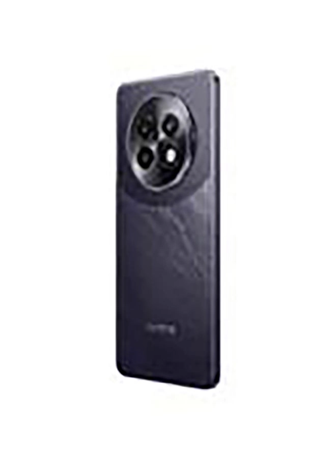 13 Pro 8GB 256GB