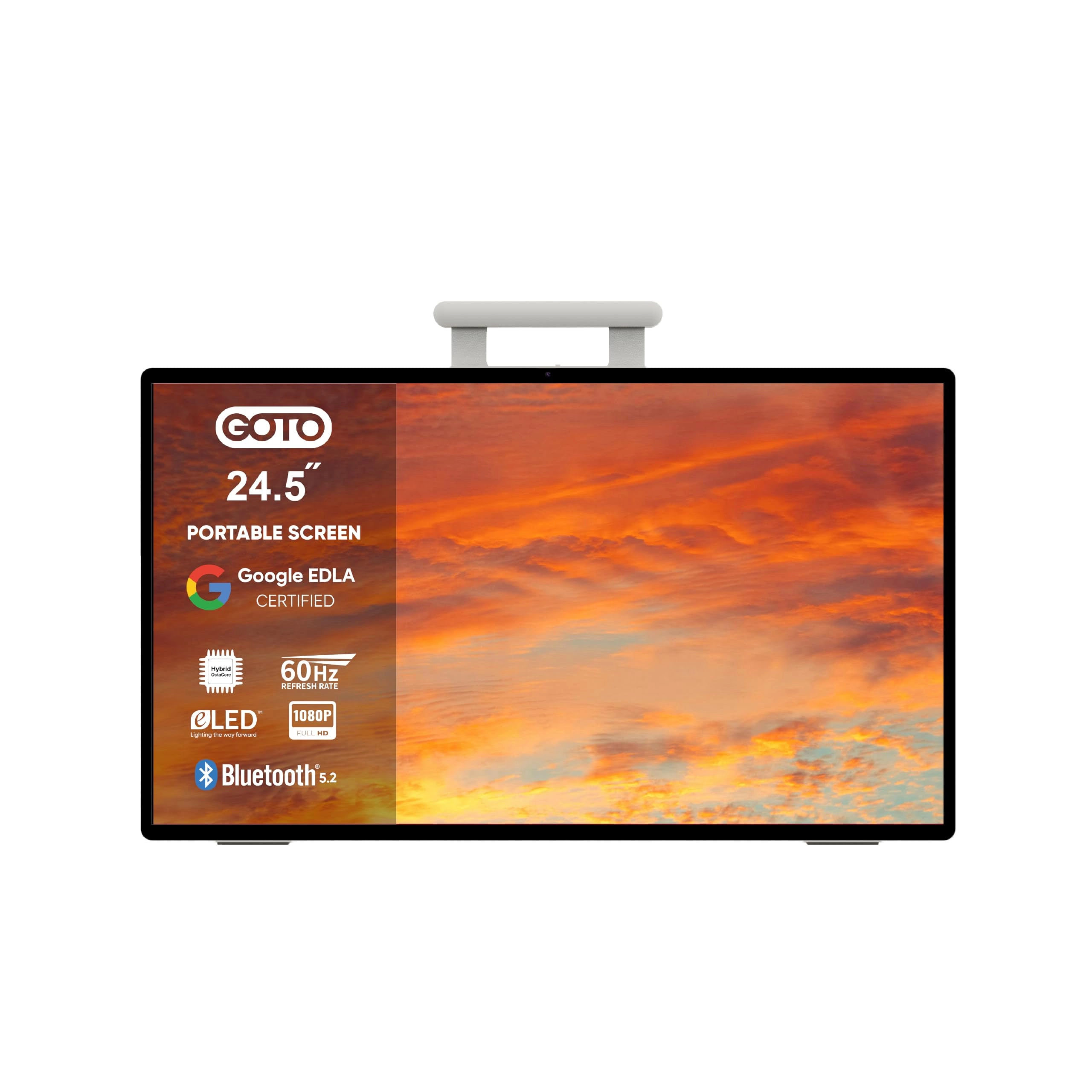 GOTO Software G25EEF1TN60 - Full HD 24.5 inch