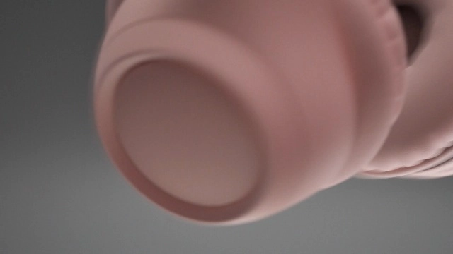 Zone 300 Wireless Headset