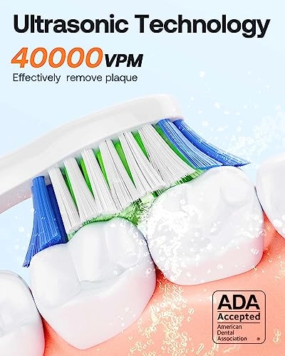 D2 - 40000 movements per minute 8 Replacement Heads 5 Modes