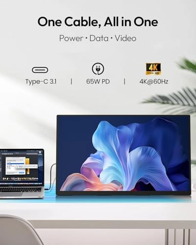 Portable Monitor - SXMFP0001 23.8" 1920x1080