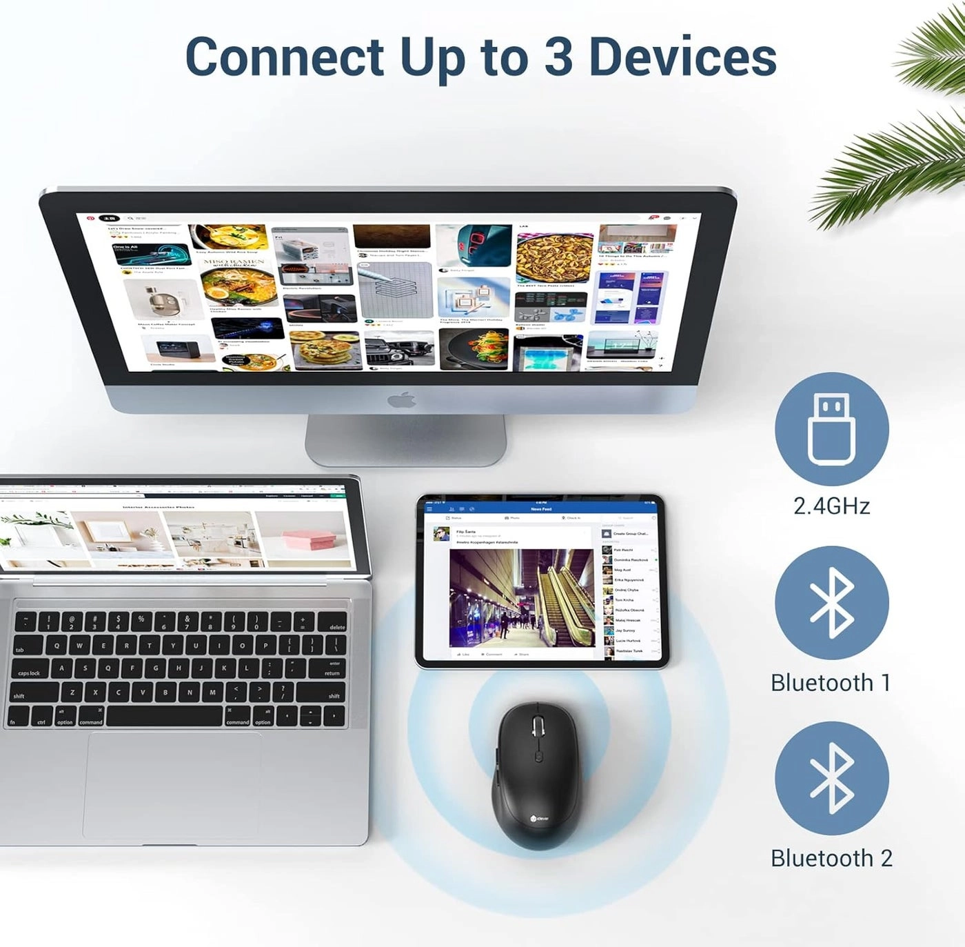 MD165 Dual Mode Wireless Mouse - Bluetooth, USB