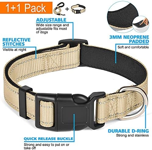 Reflective Collar - M Neck 16"-19" Blue + Leash