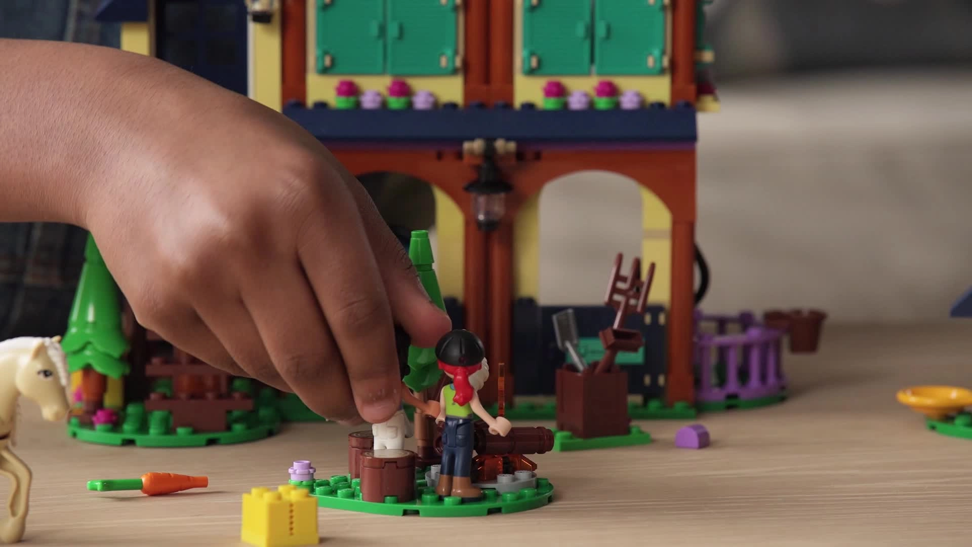 Friends Forest Horseback Riding Center (41683)