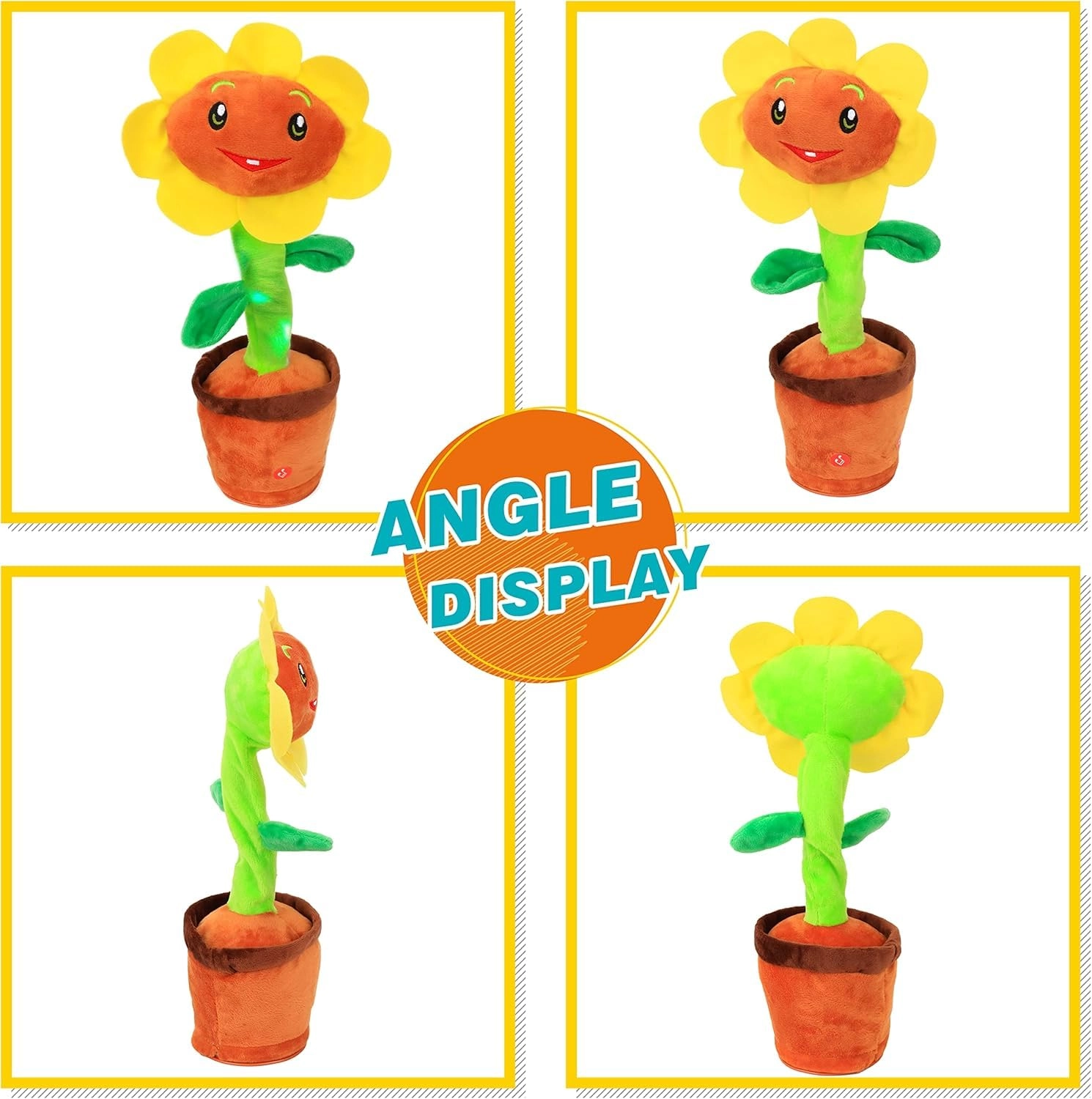 SBWBZB0924CT1 - 6 months+ Cactus