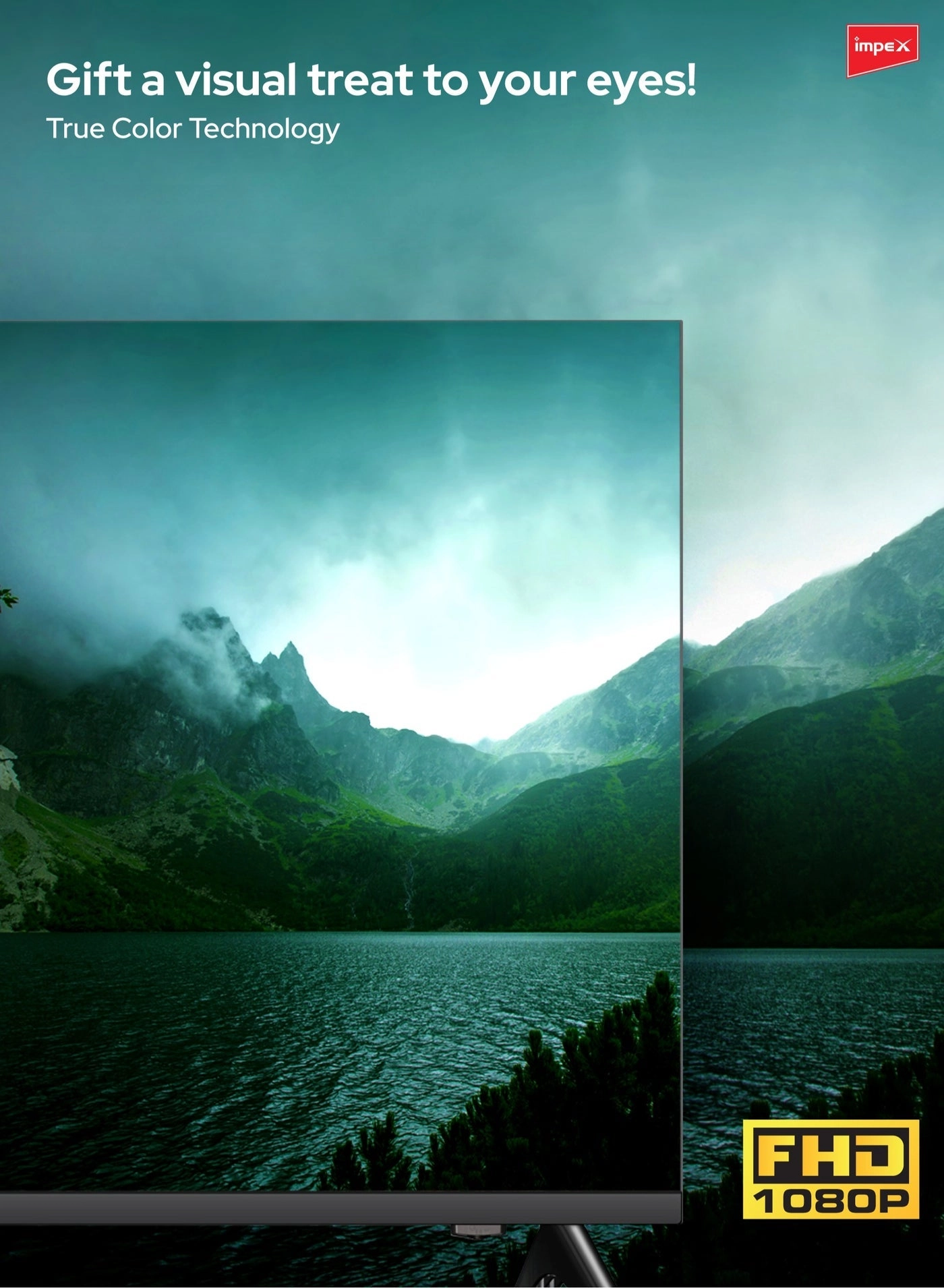 Gloria50Q - 50 Inch Bundle