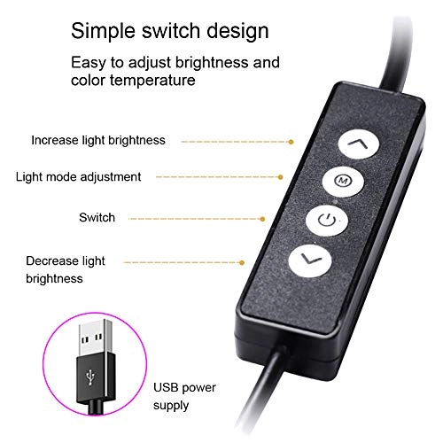LED Live Streaming Ring Light - 6.5in