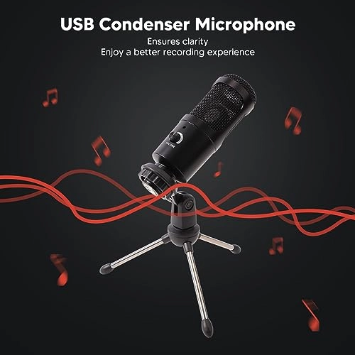 RT2152WQ USB Microphone