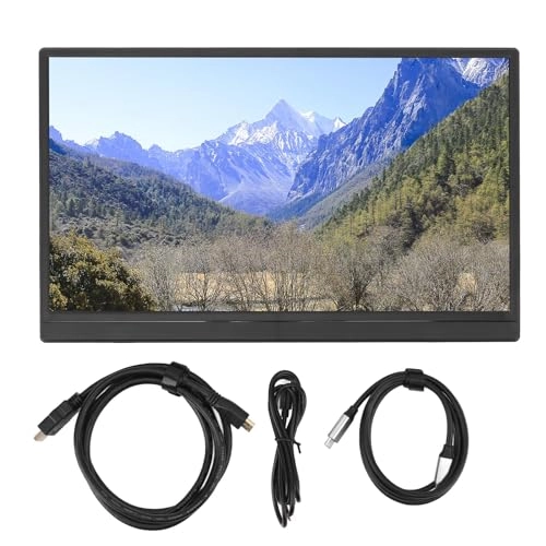 Portable Monitor - 15.6inch