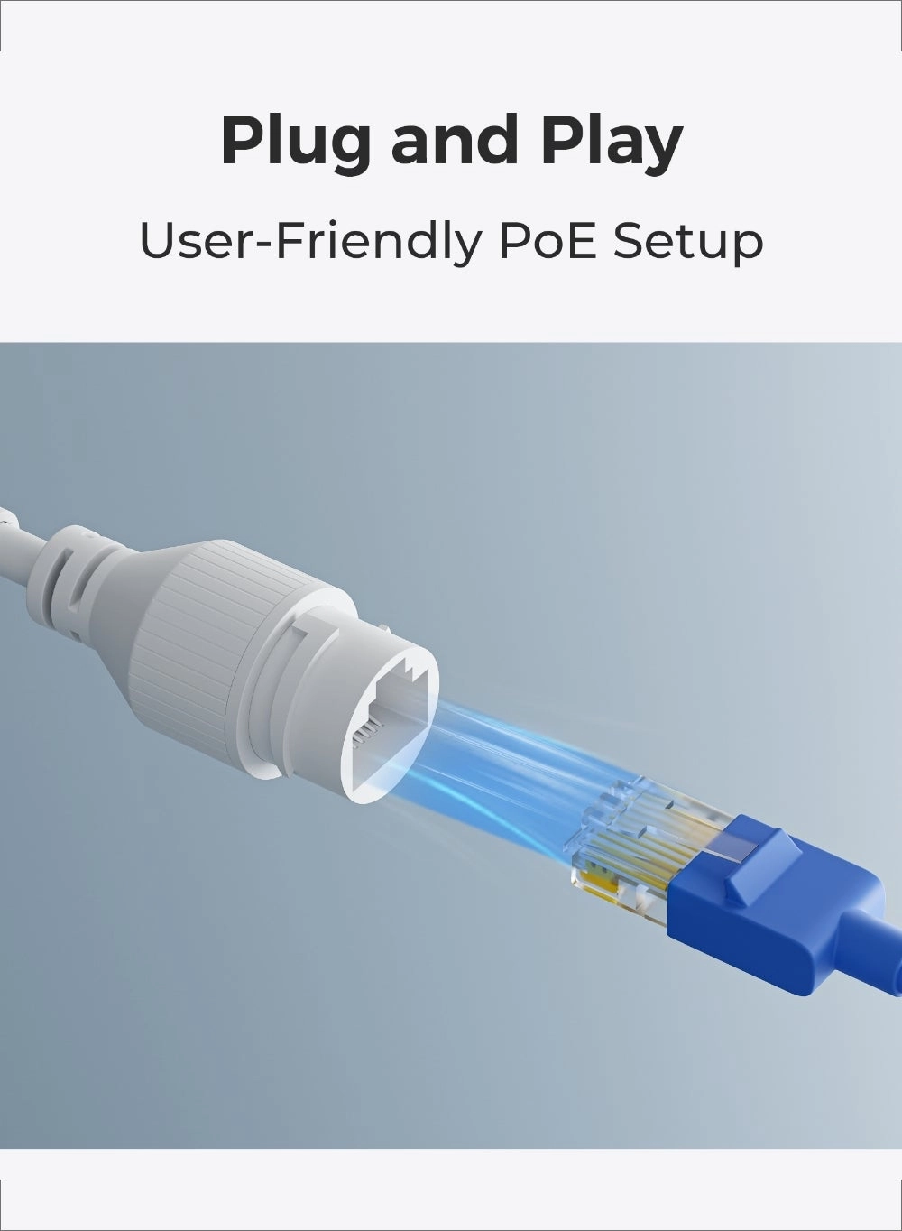 NVS8-5MB4 - 8 channels