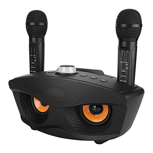 Karaoke Speaker - 2 microphones