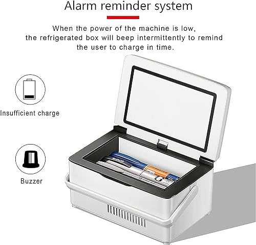 Portable Insulin Cooler