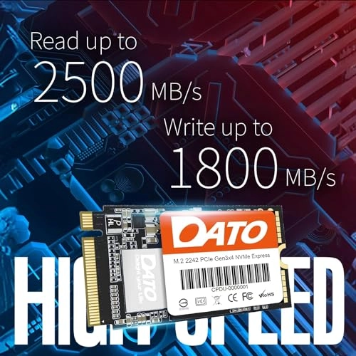 DP342 - 1 TB M.2 2242